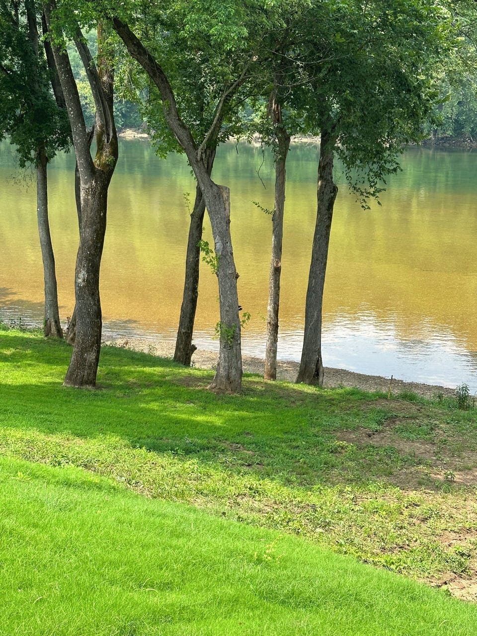White river. Fish from the bank, fly fish, or just sit and relax! 