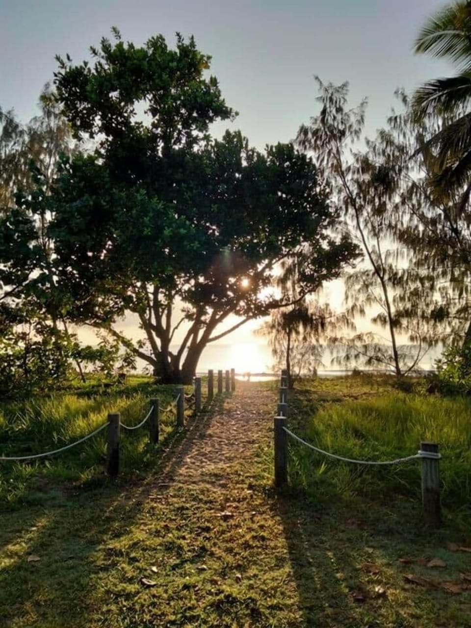 Benayah 3 - Sunrise