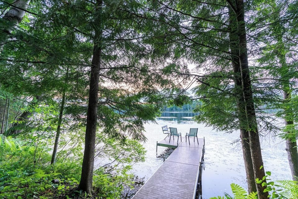 Wooden dock with two green chairs extending into a calm lake, framed by tall pine trees at sunset.