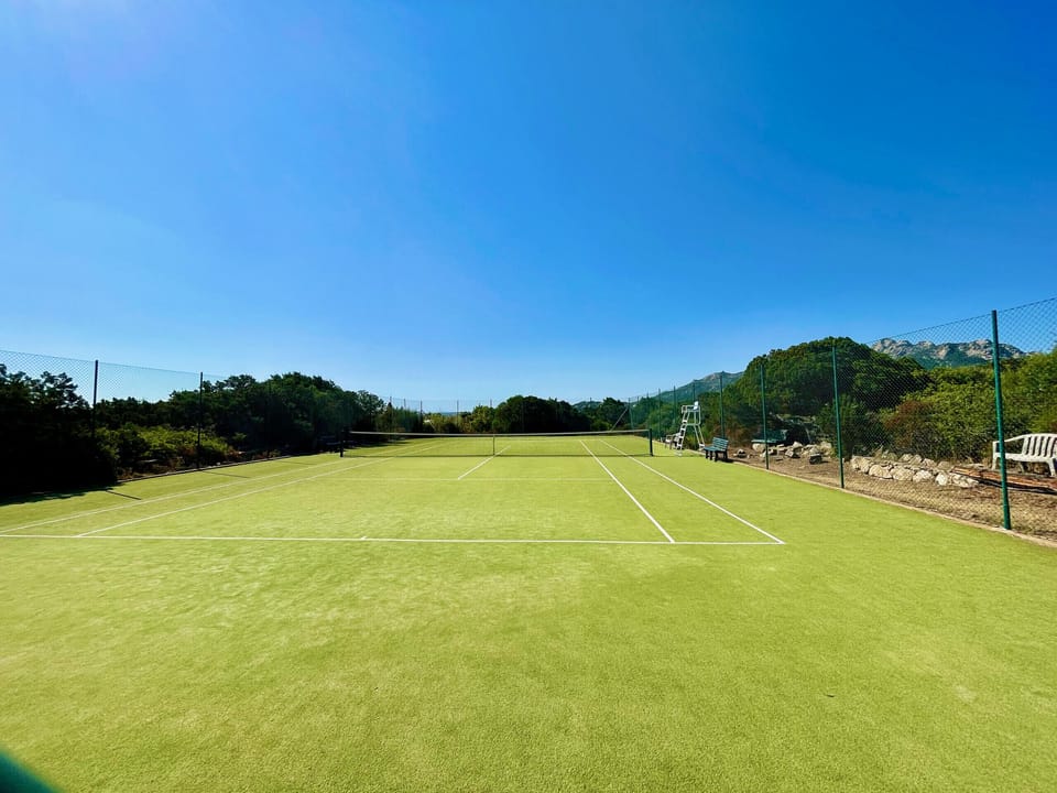 Sport court