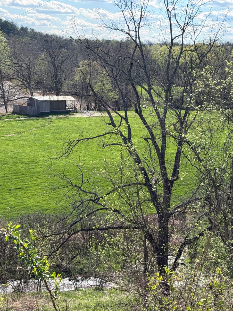 Property grounds