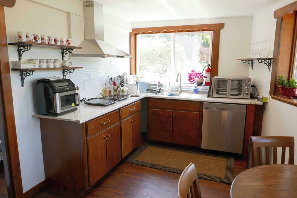 The air fryer, countertop induction stoves, mini two-door oven and dishwasher 