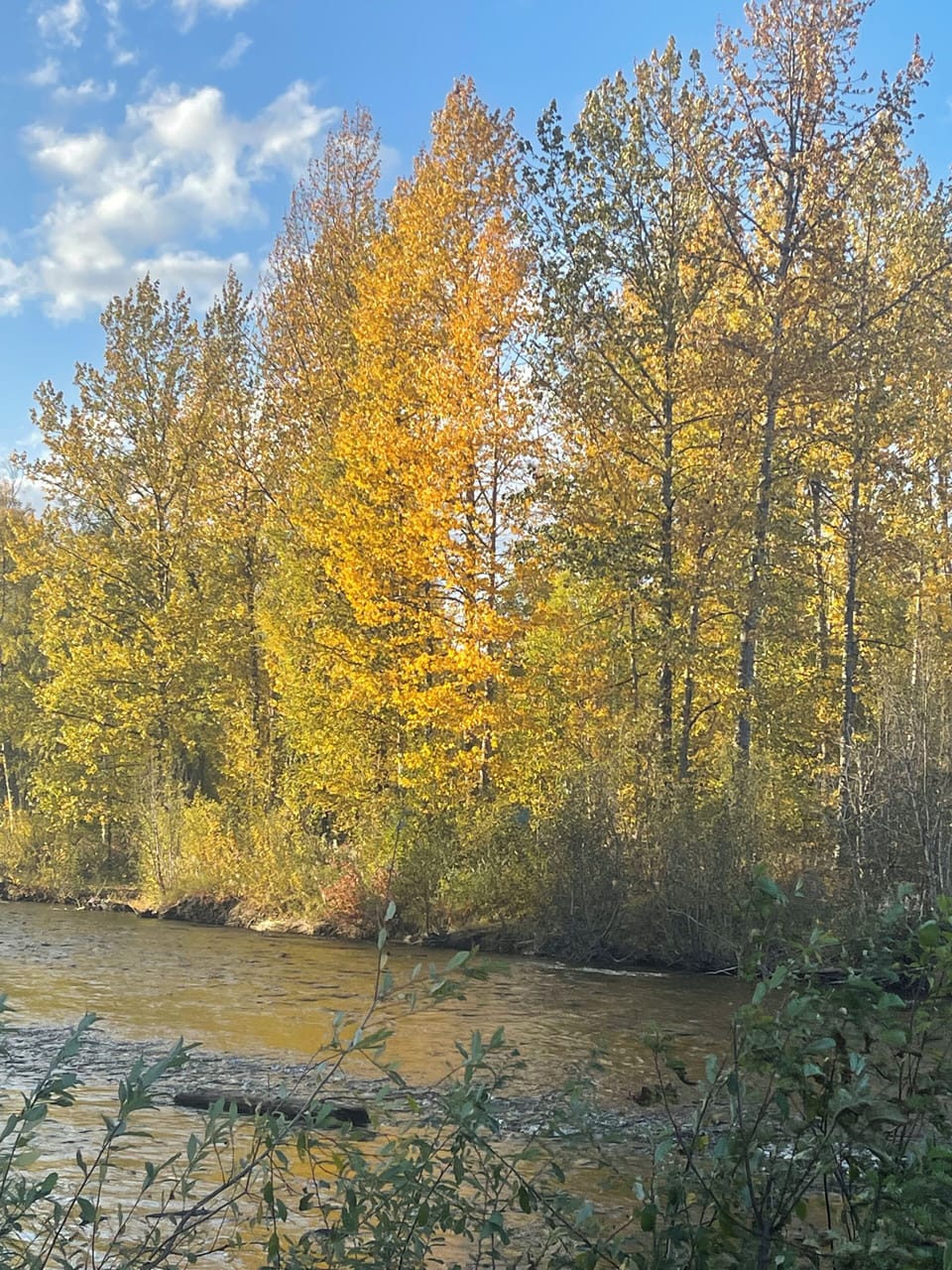 Montana Creek about 10 minute drive from cabin