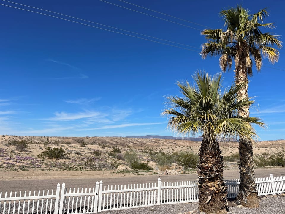 Endless sun-drenched desert views 
