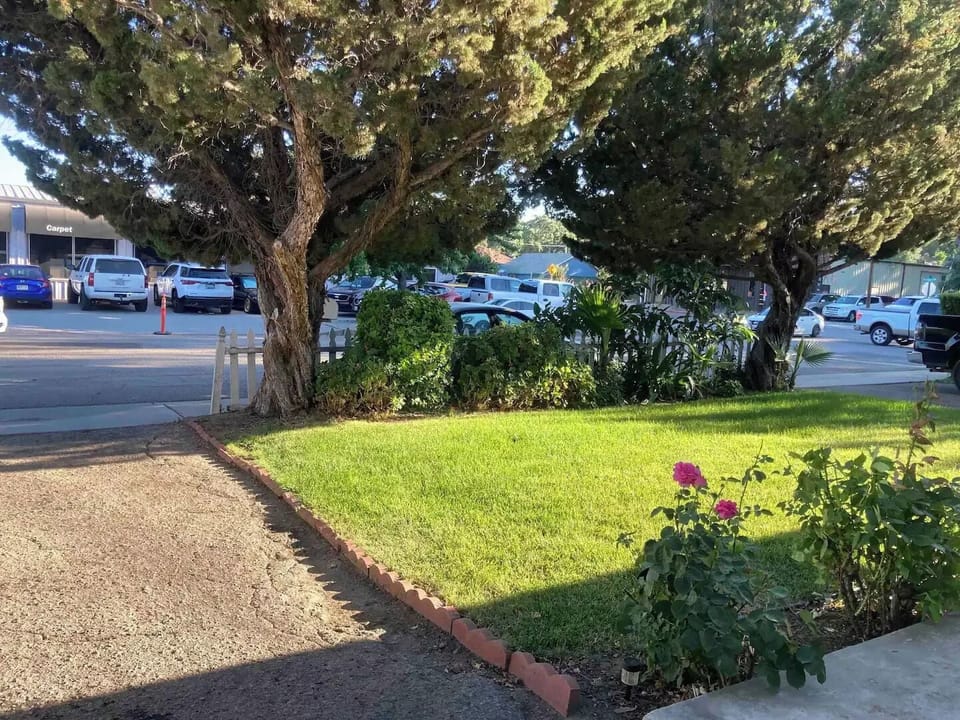 Front yard