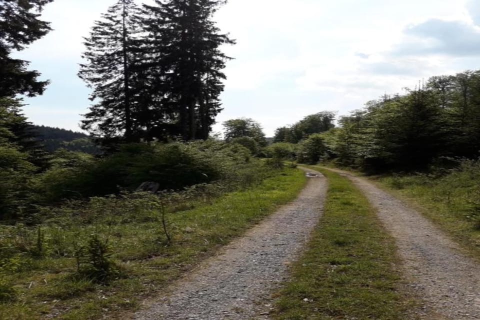 Surroundings [summer] (1-5 km)