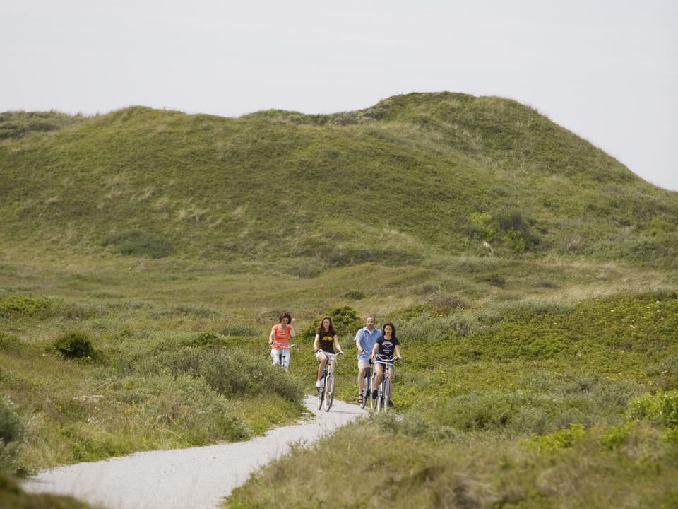 Surroundings [summer] (1-5 km)