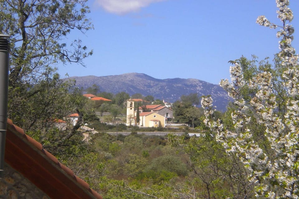 View from Holiday Home [summer]