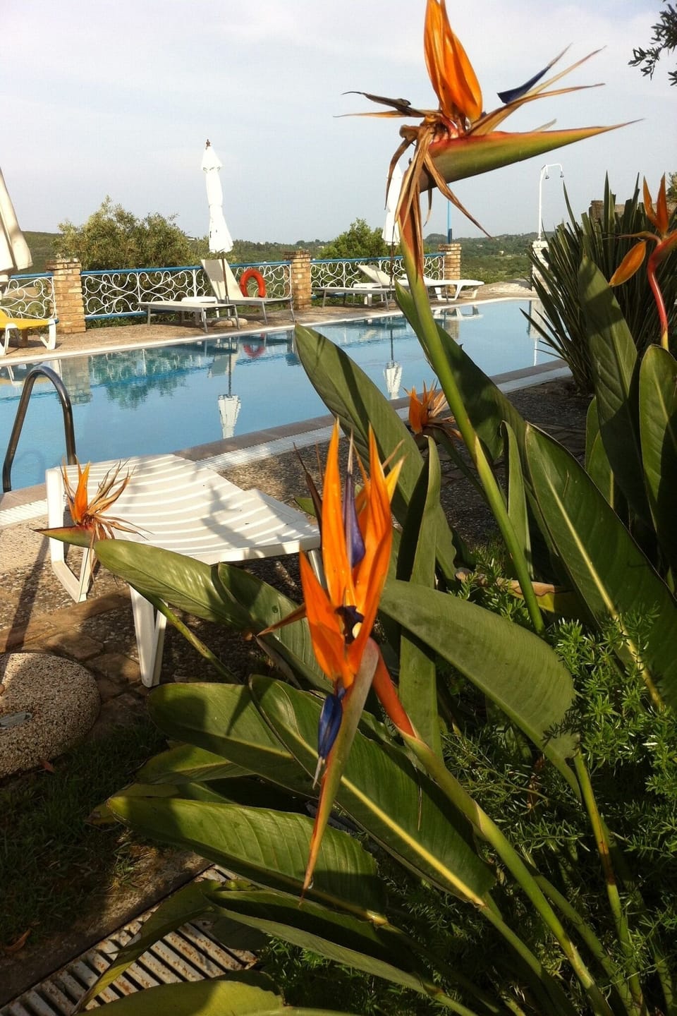 Holiday Home Swimming Pool