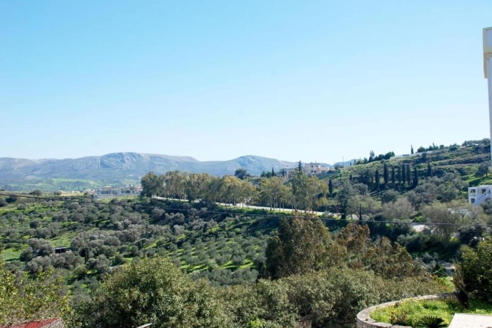 Region [summer] (>5 km)