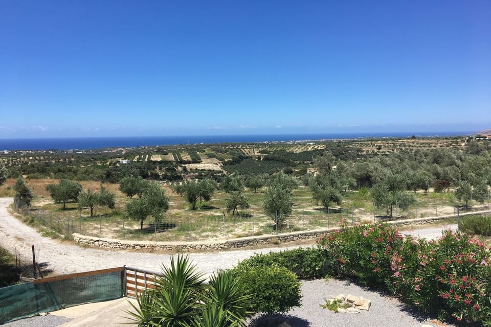 View from Holiday Home [summer]