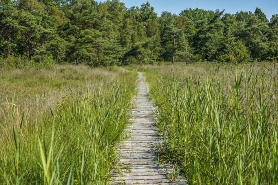 Region [summer] (>5 km)