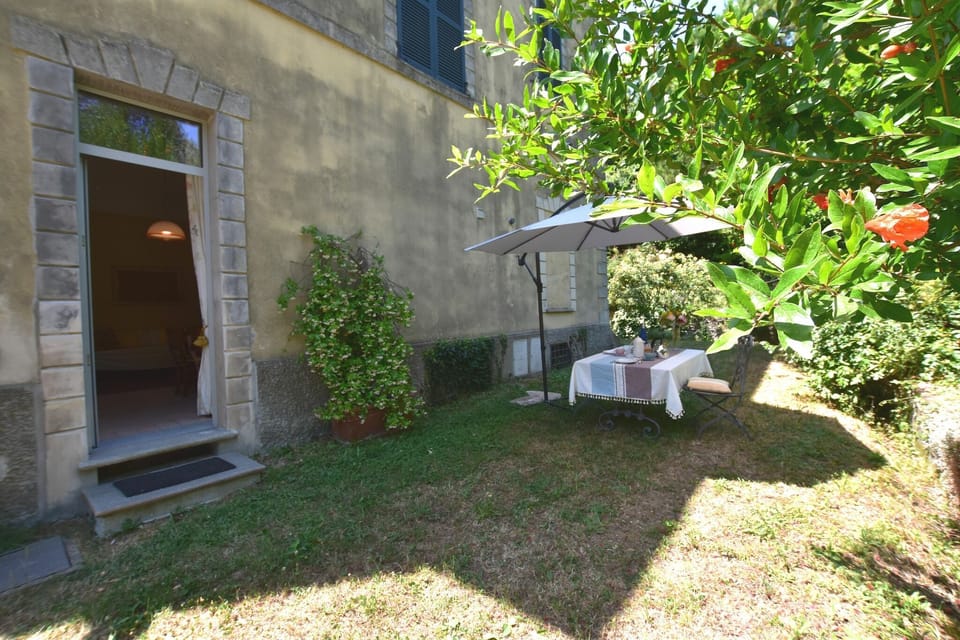 Garden [summer]