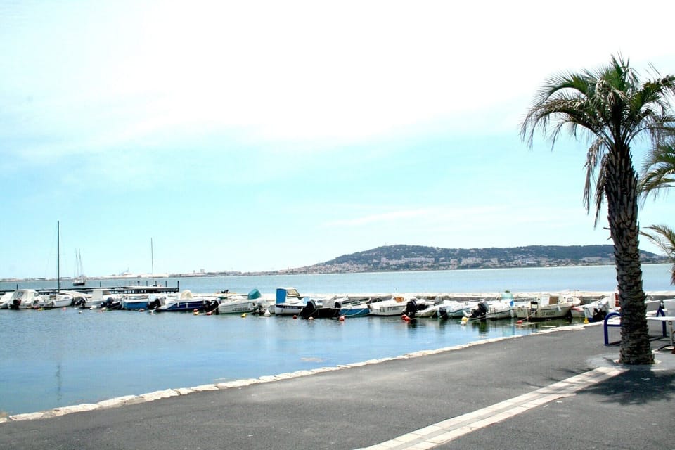 Region [summer] (>5 km)