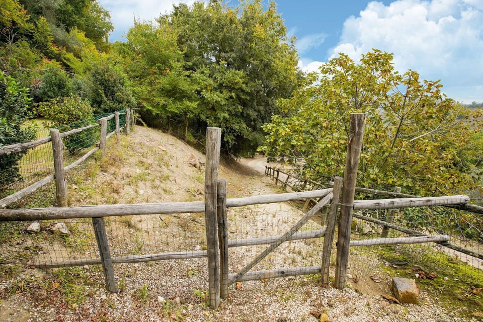 Entrance / Reception