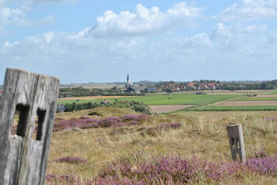 Surroundings [summer] (1-5 km)
