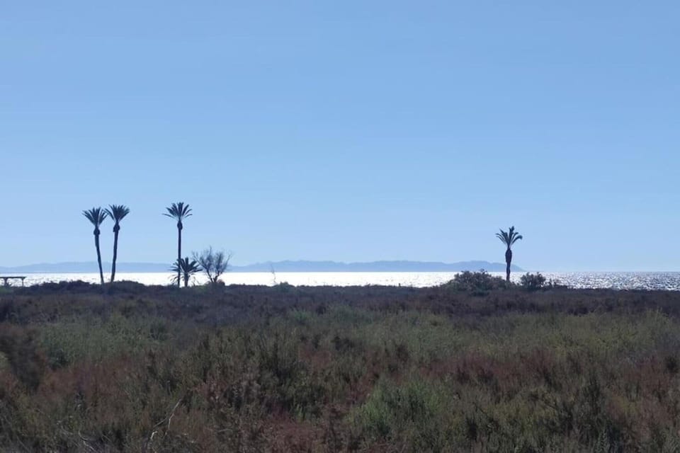 Immediate Surroundings [summer] (<1 km)