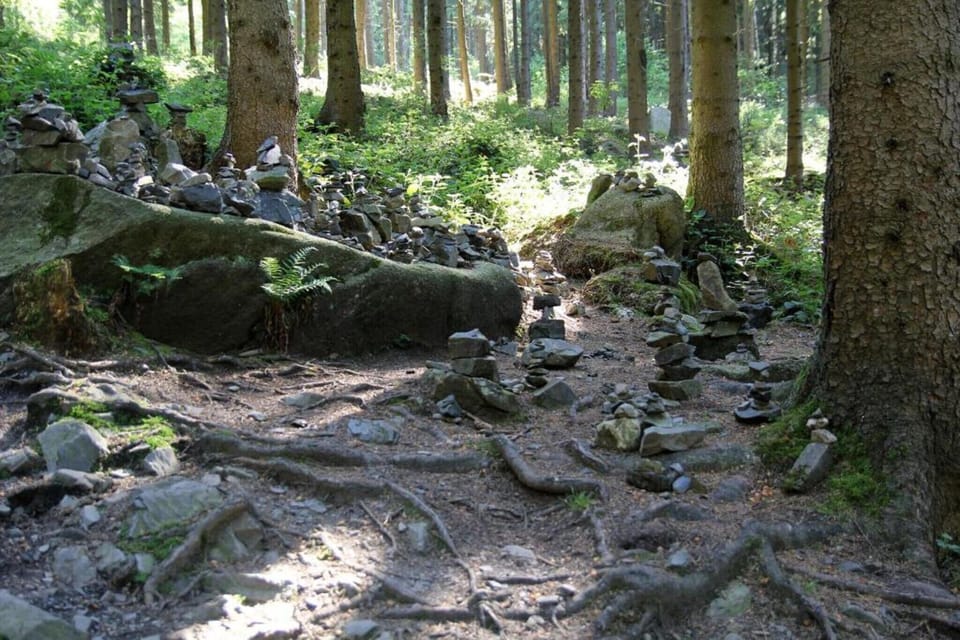 Region [summer] (>5 km)