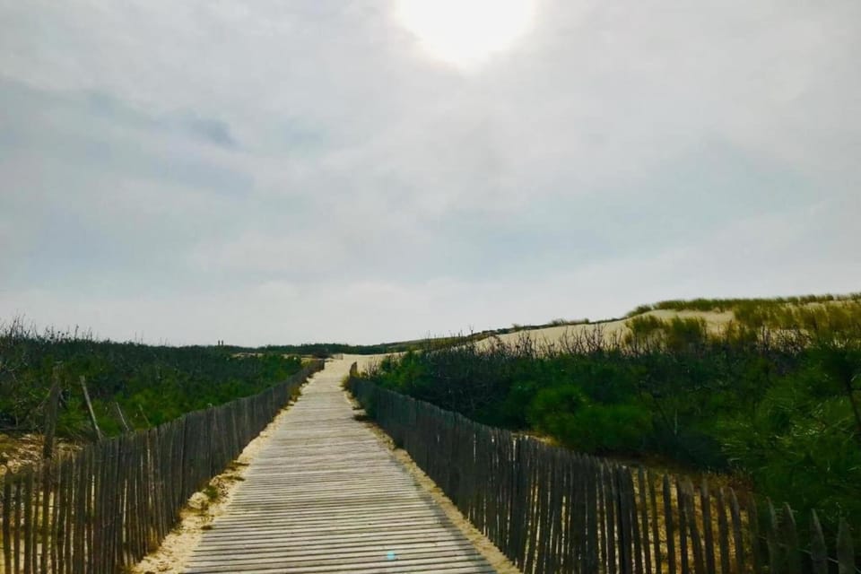 Immediate Surroundings [summer] (<1 km)