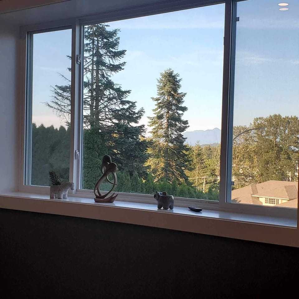 MillionsView from the living room window 