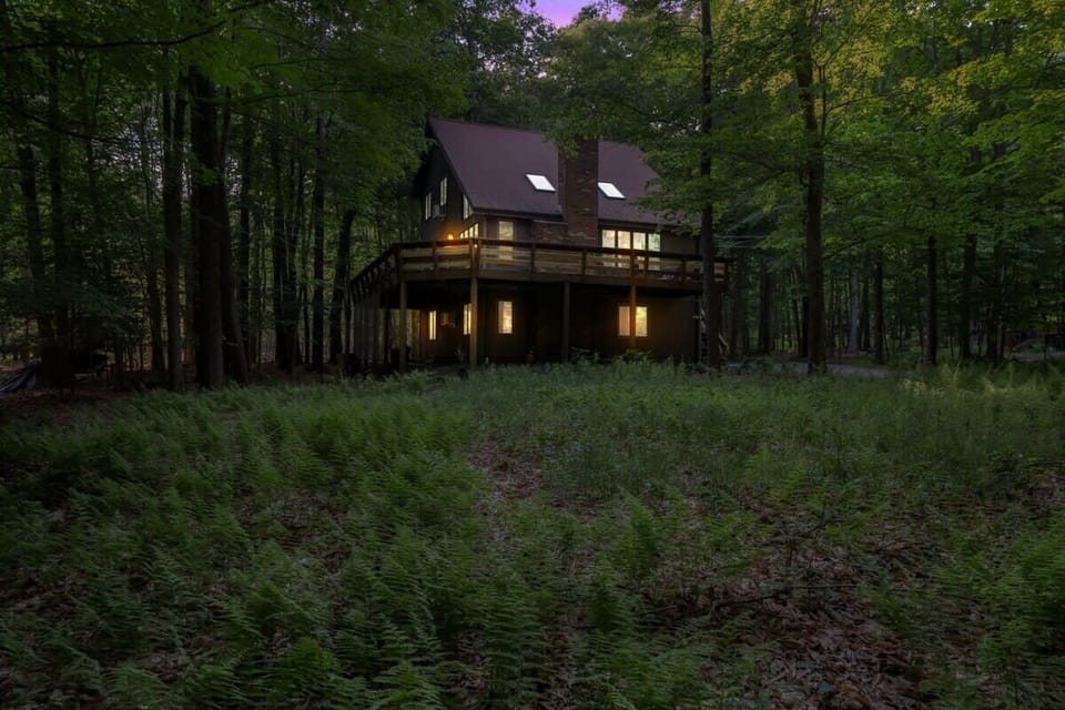 Secluded Cabin Exterior Surrounded by Forest at Dusk