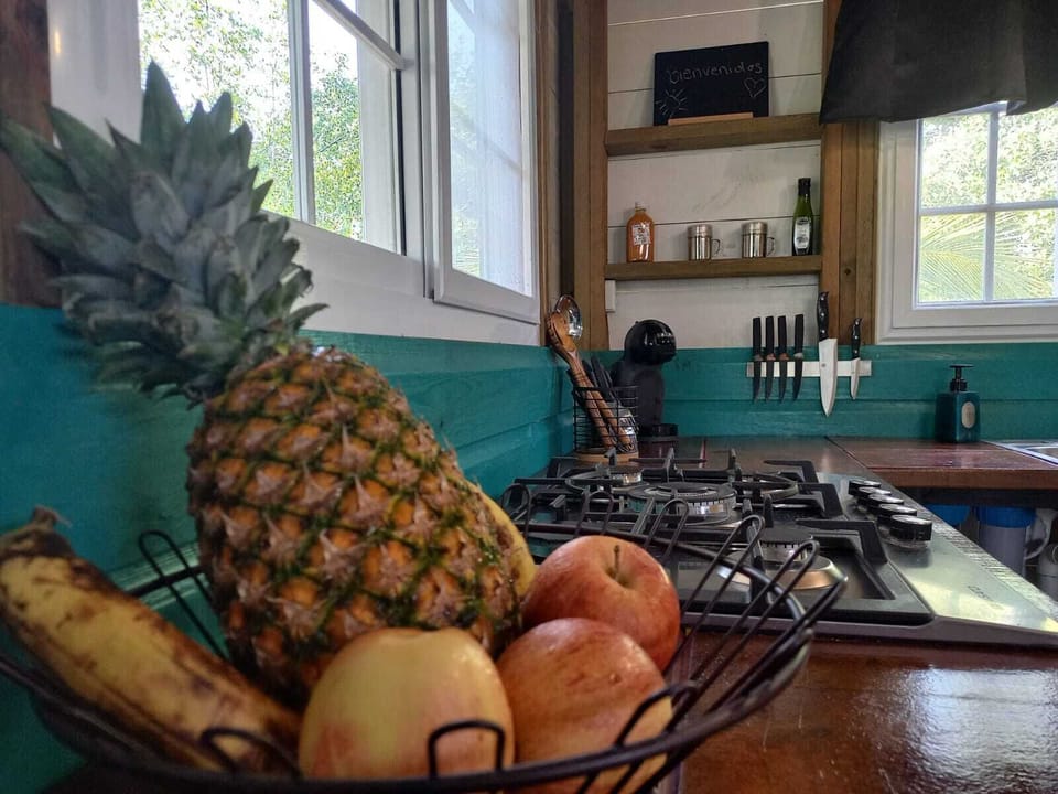 Modern, fully equipped kitchen. Fresh fruits provided at your arrival.