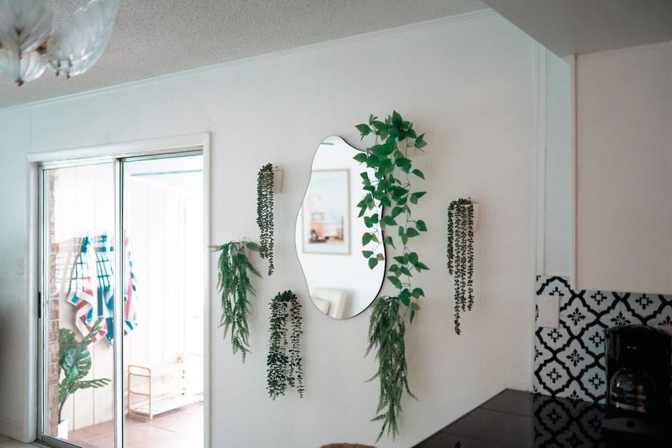 Plant mirror perfect for photos 