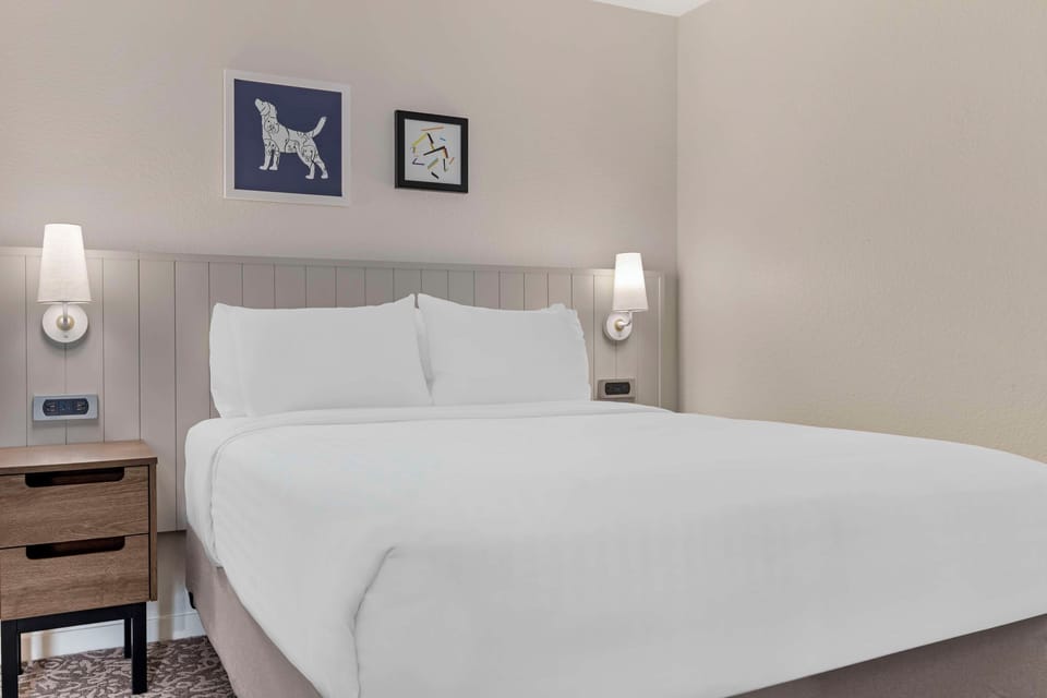 Wake refreshed in a bright room with crisp hotel comfort.