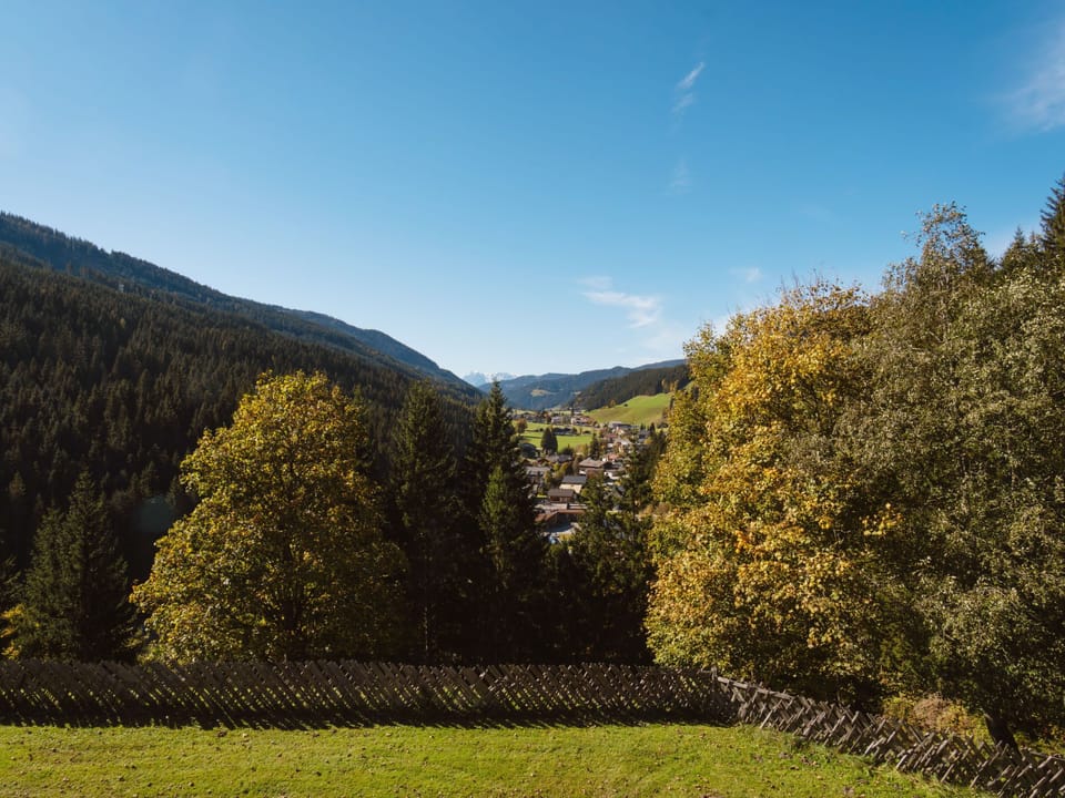 View