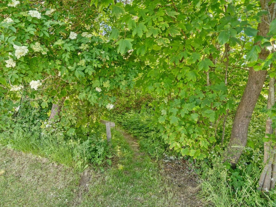 Place
