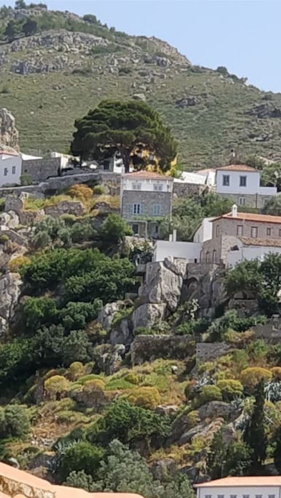 View of the house from the Port. Mark the round pine tree