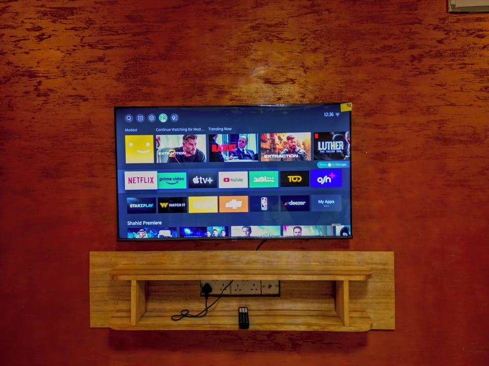 Television