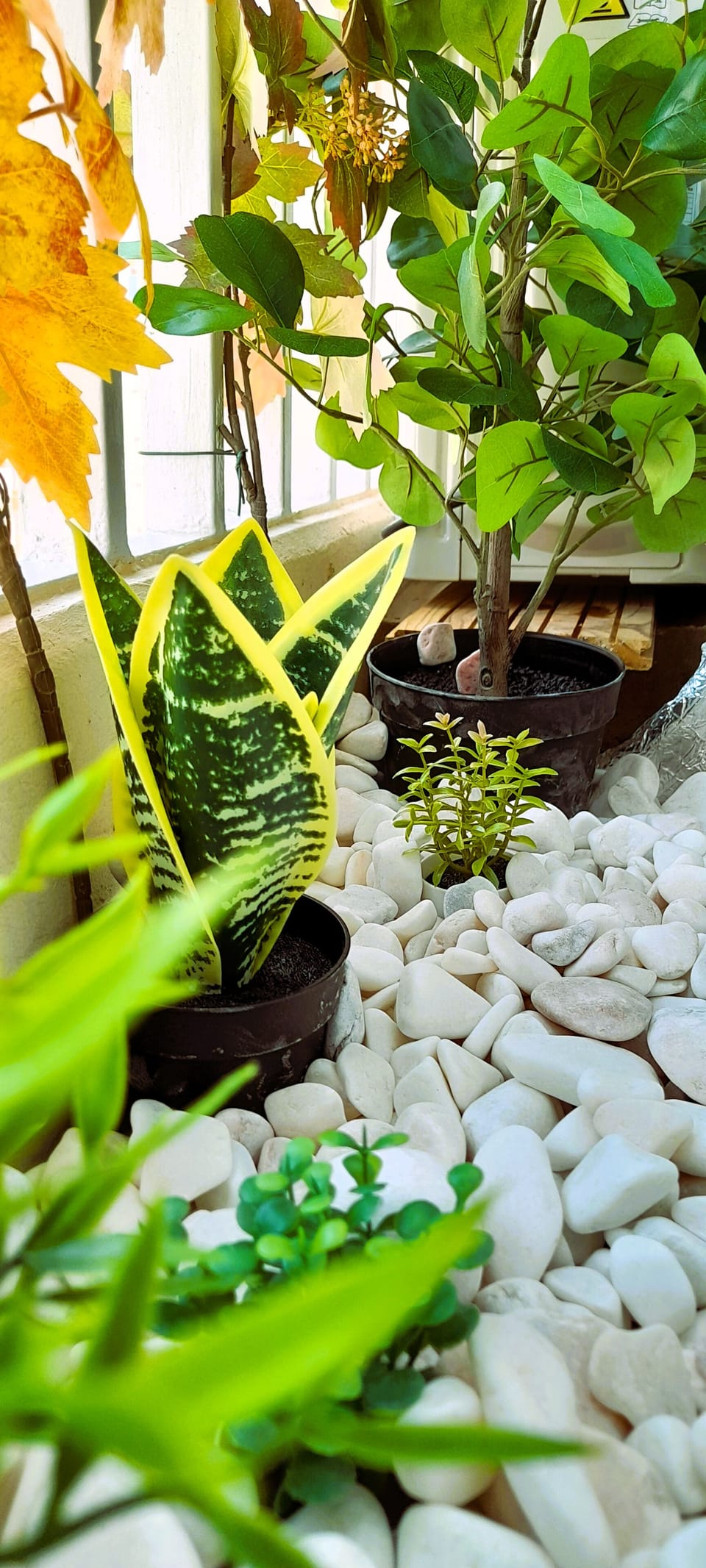 Interior detail