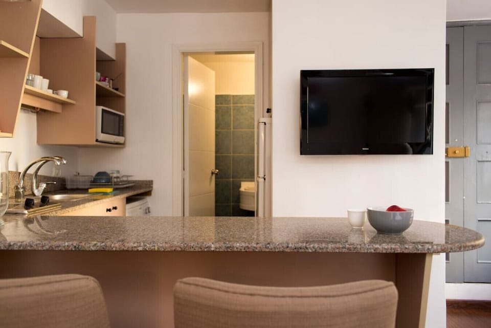 The bar perfectly subdivides the studio in two, with the kitchenette on one side and the bedroom/living room on the other.