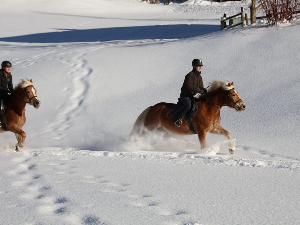 Snow and ski sports