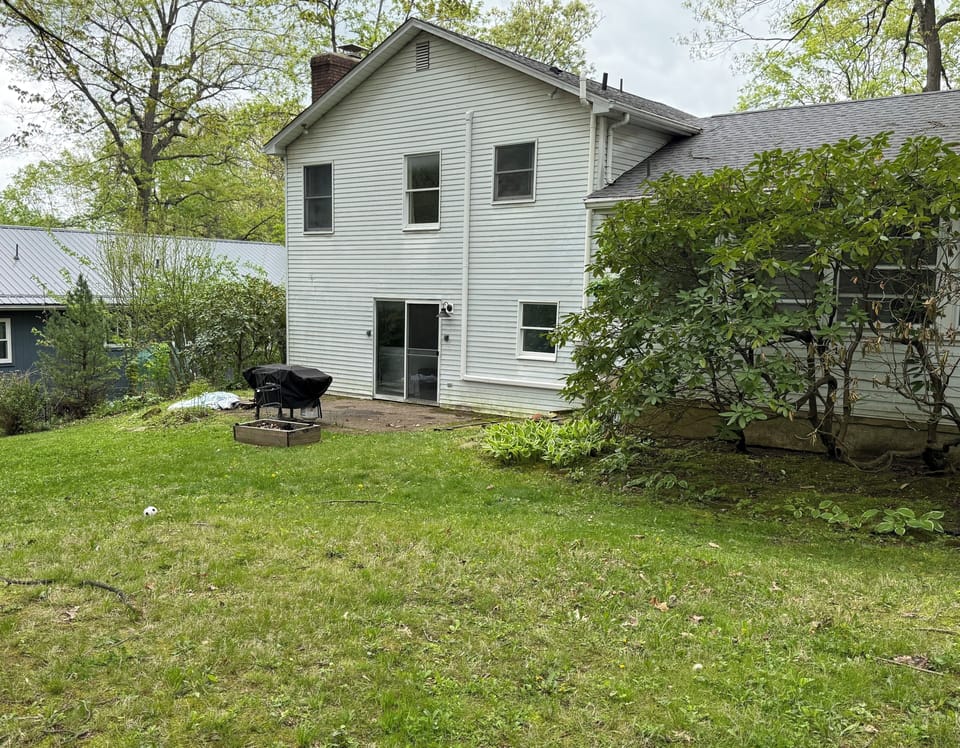 Full backyard 