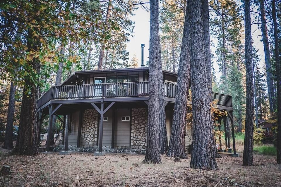 Exterior view of the Octagon "Wildland Tree House". The hosts live on the top level, while the "Live Light" Retreat Space encompasses the entire ground level, including a private entrance, private kitchenette, and 2 private full bathrooms. 