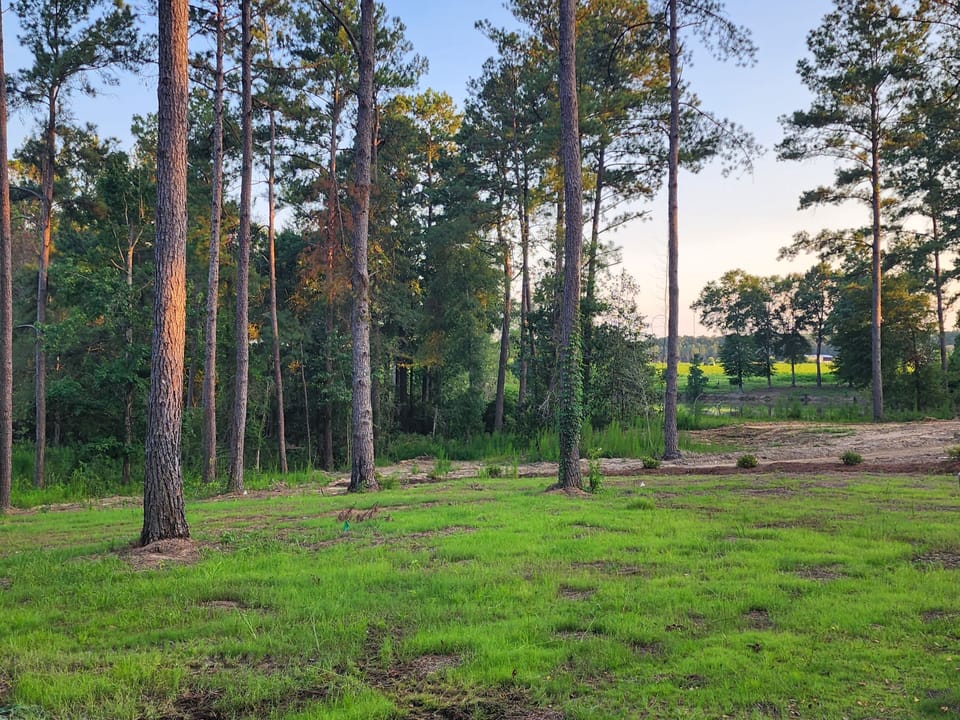 view from patio and front porch