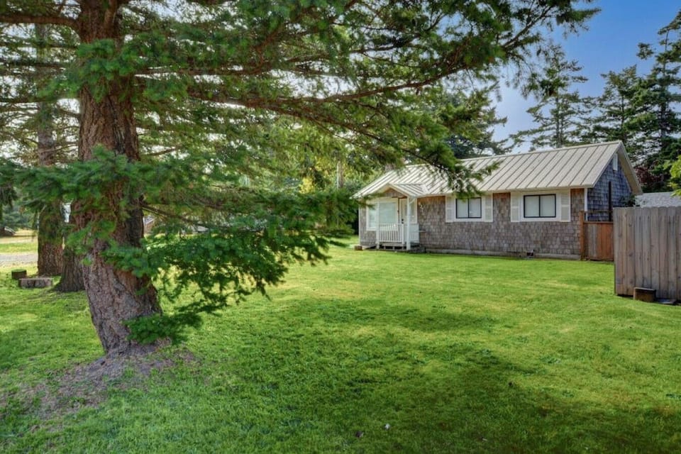 Front Yard, Front of Cabin