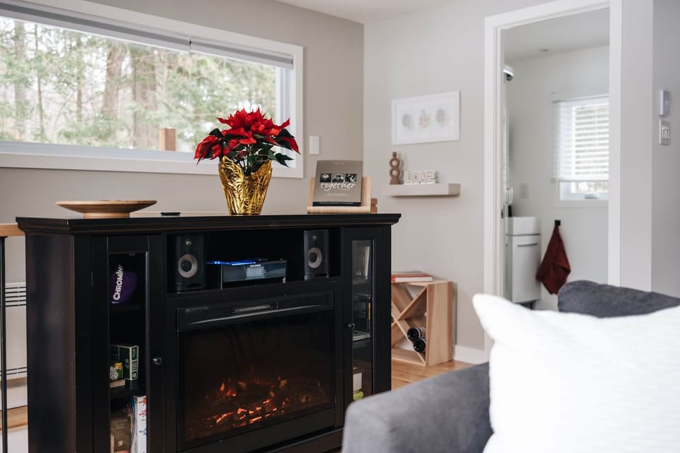 Electric fireplace game book, collection Together Photo by C.Gravel