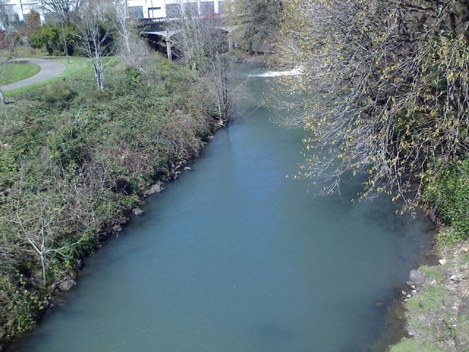 Pringle Creek