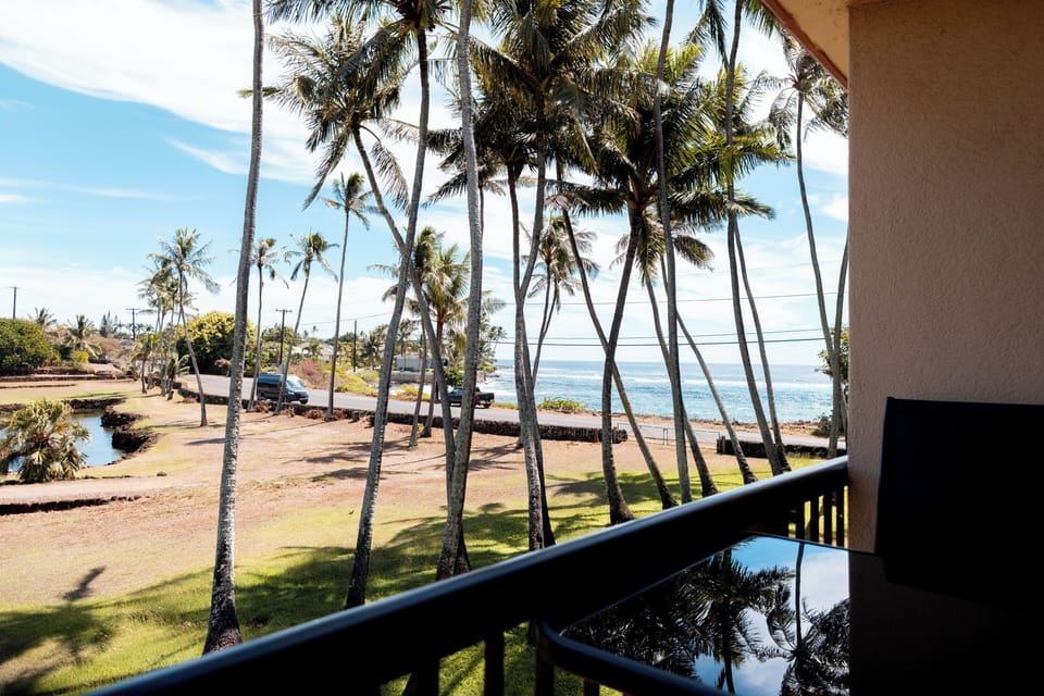 View from lanai