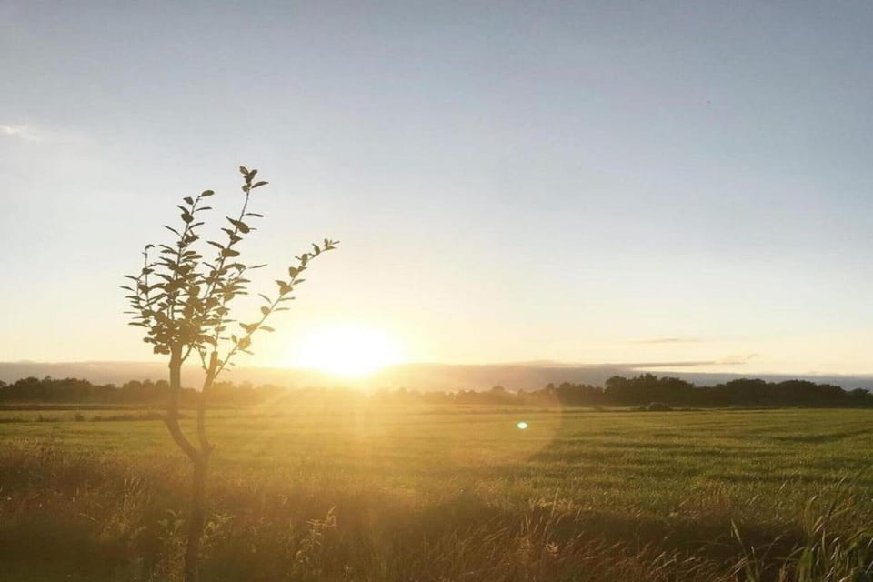 Region [summer] (>5 km)