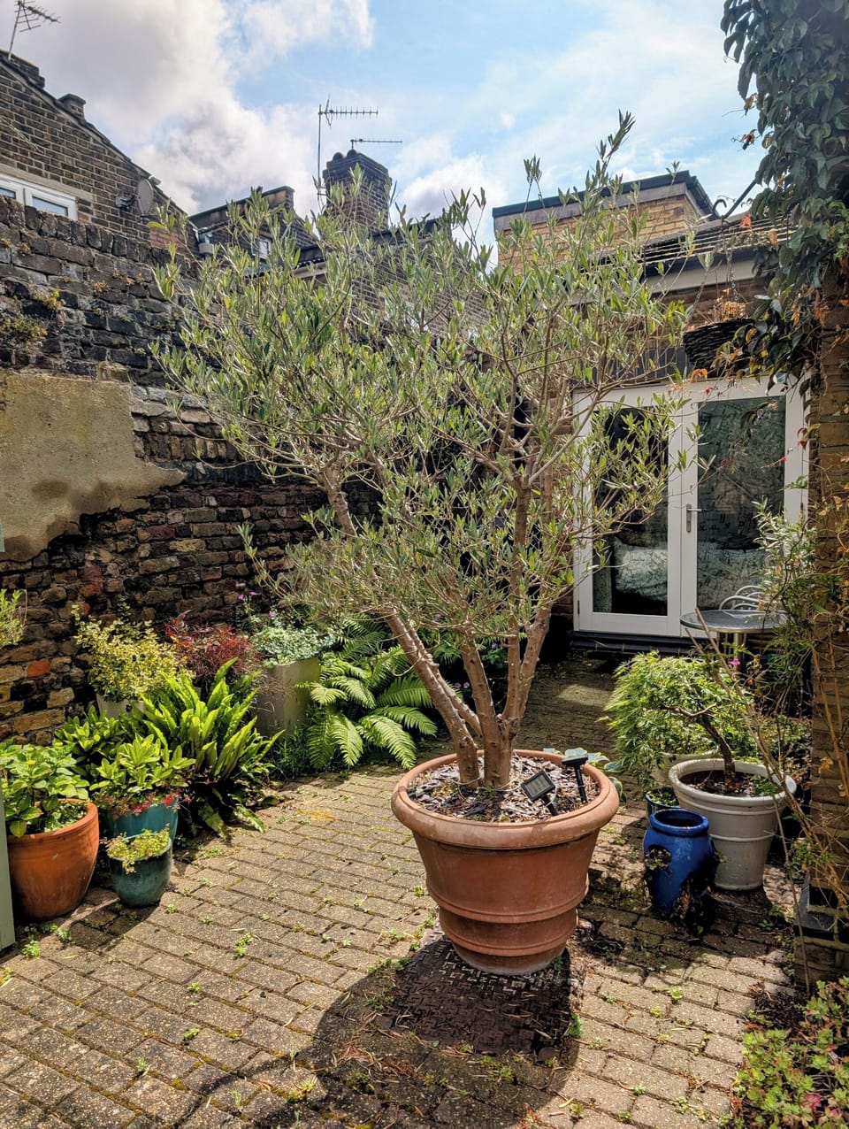 Patio garden with table and chairs 