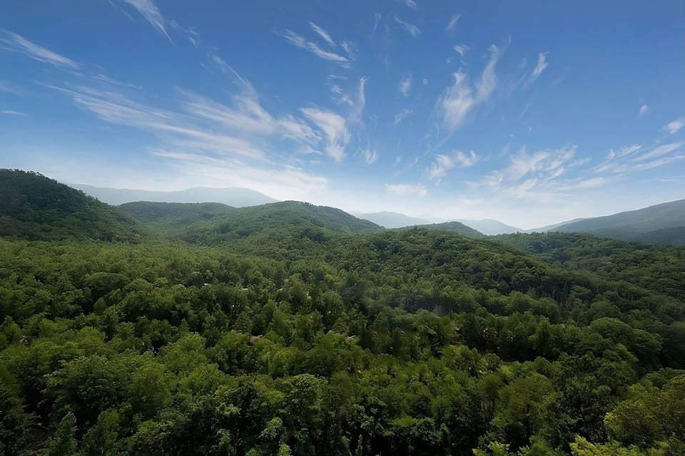Soak up sweeping forest panoramas under bright open skies.