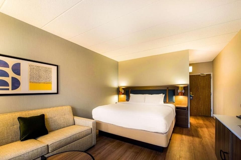 Relax on the sofa after sinking into crisp, comfy bedding.