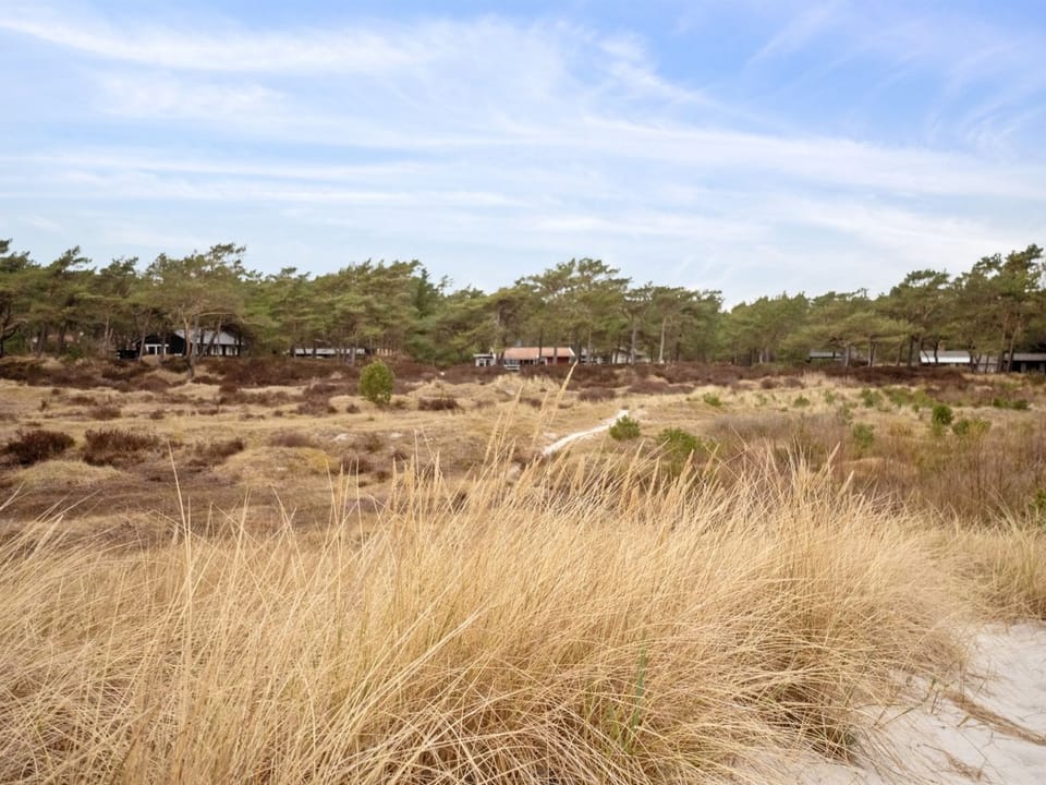 Place