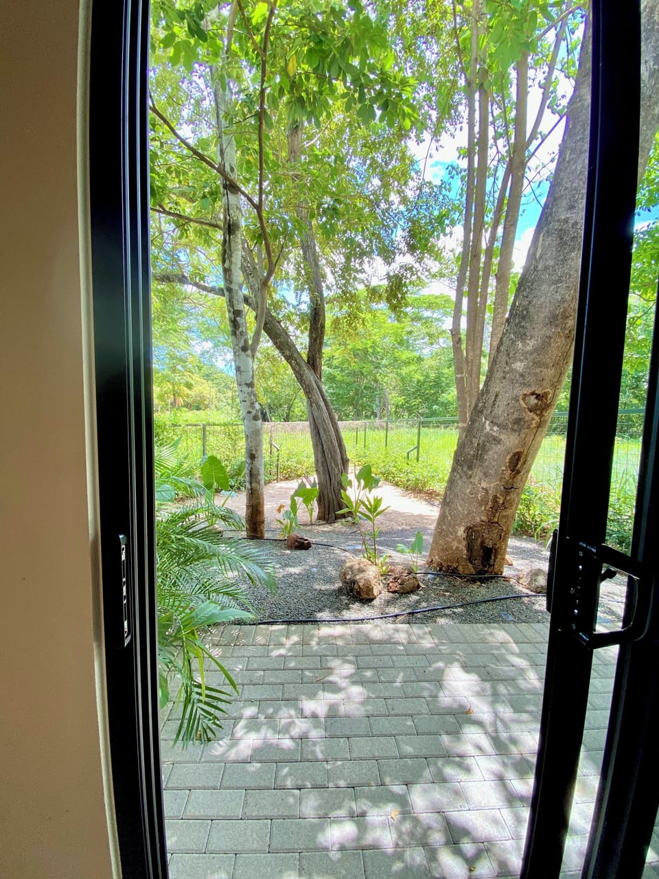 Private garden to enjoy each day