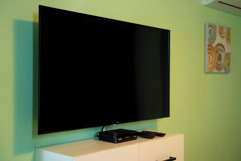 Television