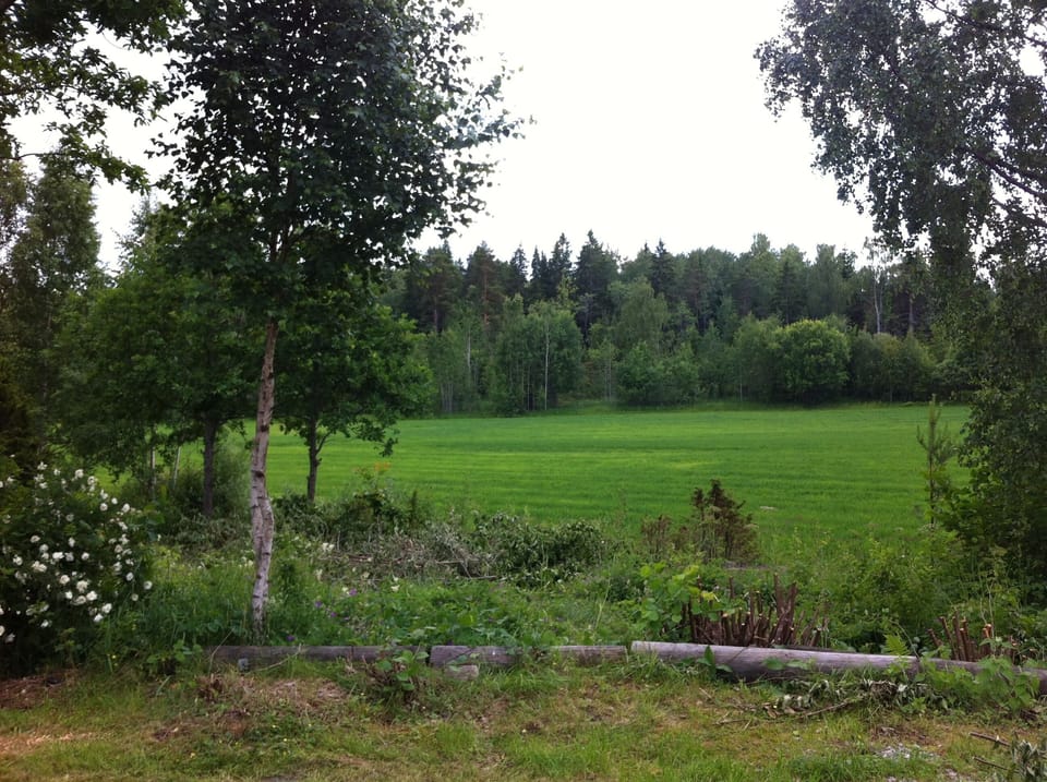 Image 23